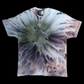 Green N' Tan - XL