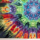 Blursting Through It All - 5'x7' Ice Dyed Tapestry